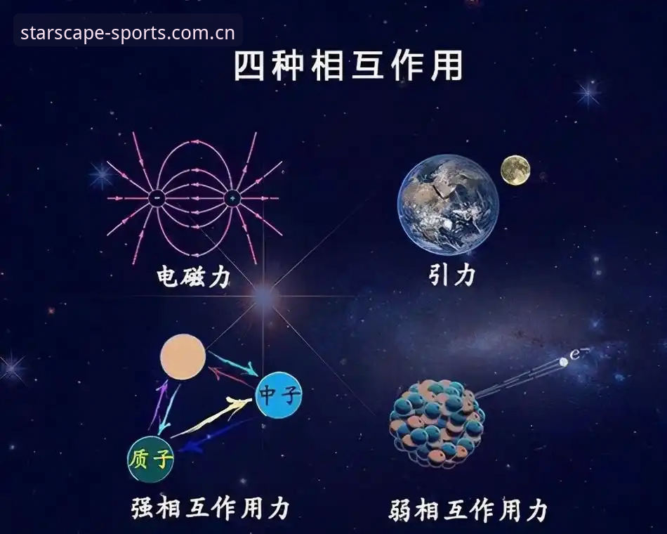 星空体育平台官网官方下载全维度解析：2026赛事数据整合新方案